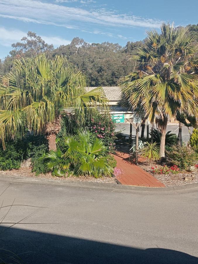 Forster Palms Motel Exterior photo